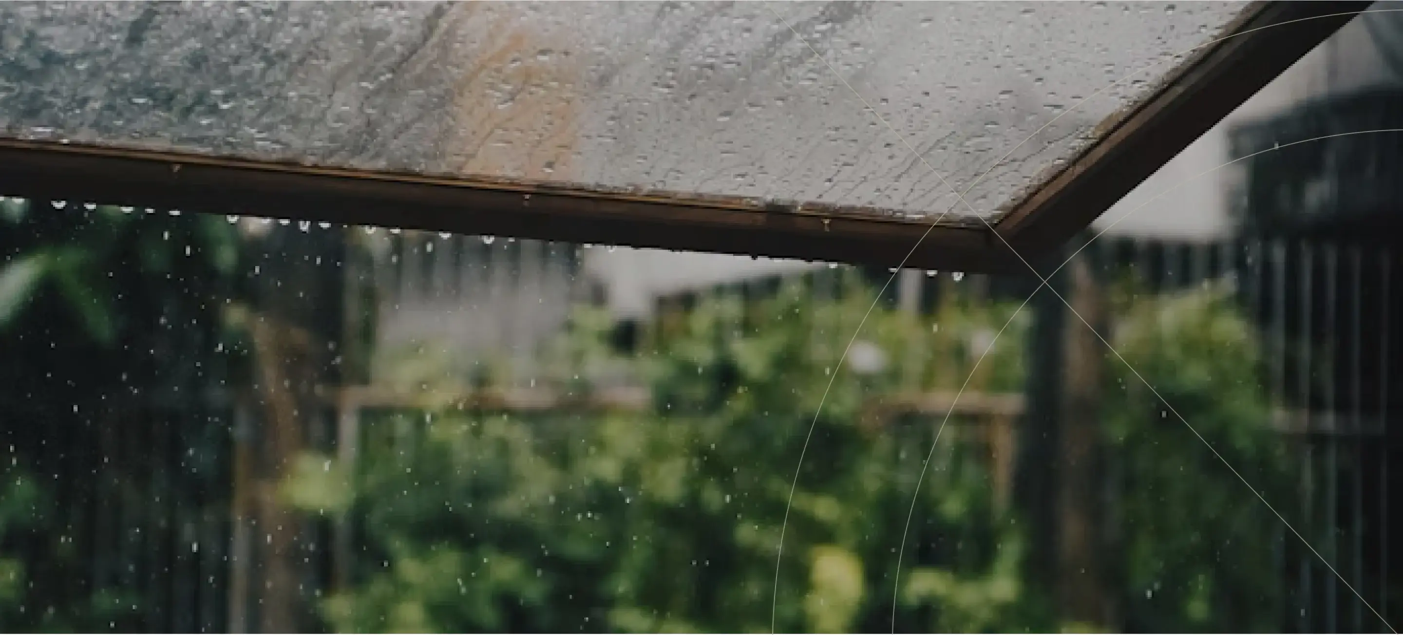 Raindrops falling on glass panes of a greenhouse with lush green plants inside.
