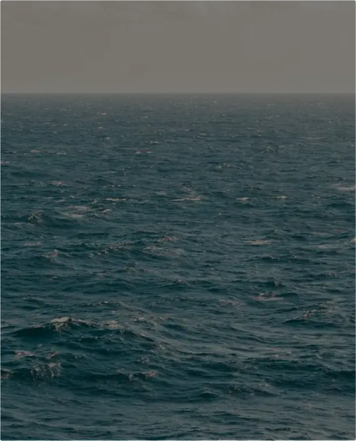 Vast ocean with rippling dark blue waves stretching to the horizon beneath a hazy gray sky.
